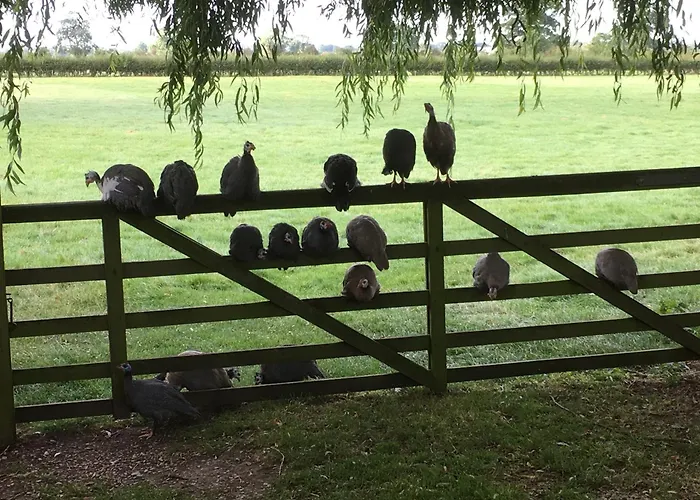 Brickfields Farm
