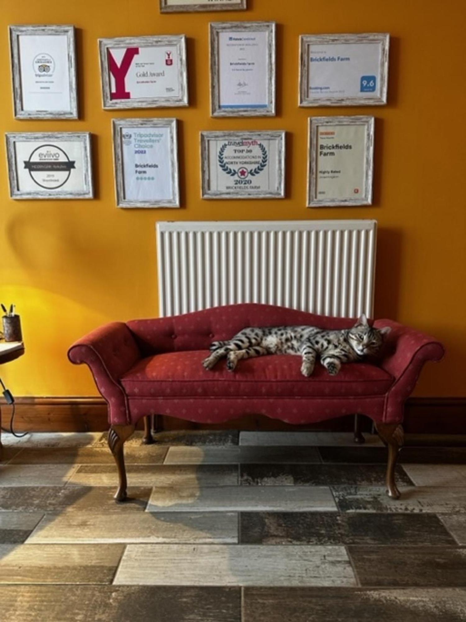 Couette-café Brickfields Farm Kirkbymoorside